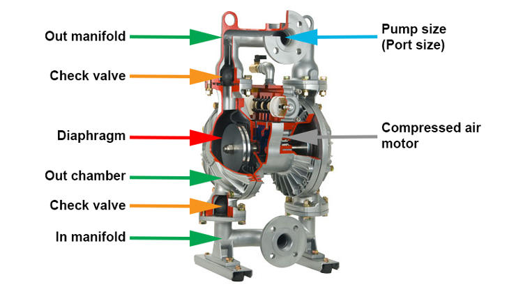 Double Diaphragm Pump Diagram